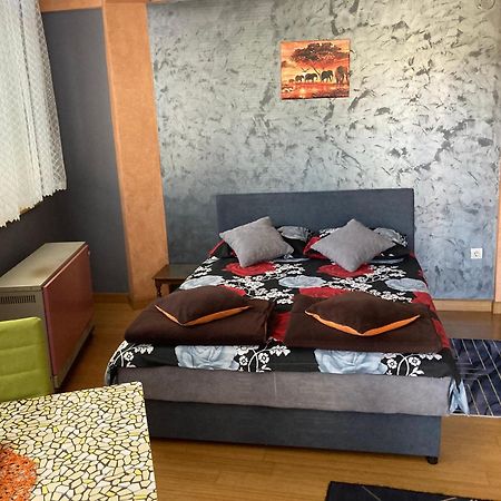 Apartman Aischa Nova Varoš エクステリア 写真